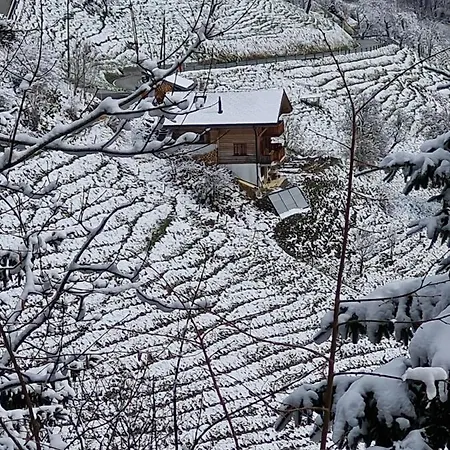 Panorama, 34, Torgon Schweiz