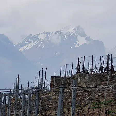 Panorama, 34, Torgon Schweiz Vionnaz