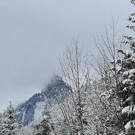Panorama, 34, Torgon Schweiz *
