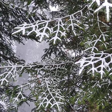 Panorama, 34, Torgon Schweiz Vionnaz