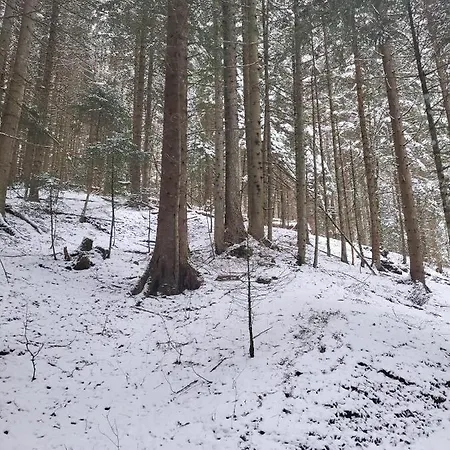 Panorama, 34, Torgon Schweiz Apartmán Vionnaz