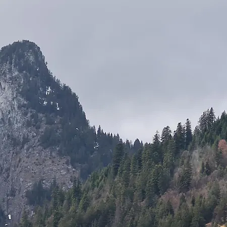 Panorama, 34, Torgon Schweiz Vionnaz