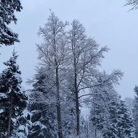 Panorama, 34, Torgon Schweiz Vionnaz