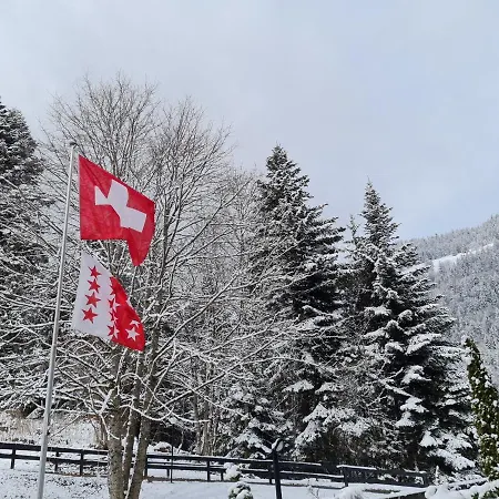 Panorama, 34, Torgon Schweiz Vionnaz