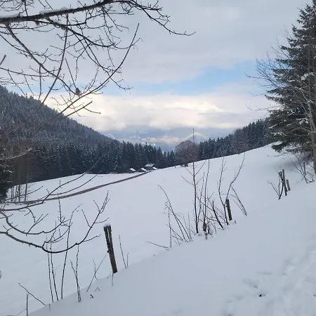 Apartment Panorama, 34, Torgon Schweiz *
