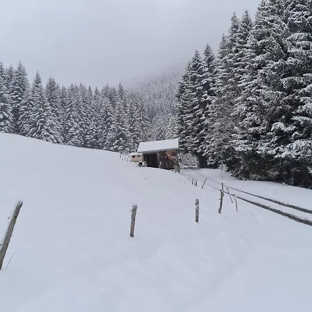 Panorama, 34, Torgon Schweiz